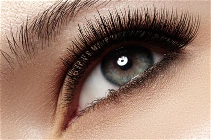 Permanent Makeup Eyebrow Ombré Gradient. | Delux_Pmu | Digital Voucher