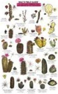 Mac's Field Guides: Southwest Cacti, Shrubs, Trees (Mac's Guides (Paperback))
