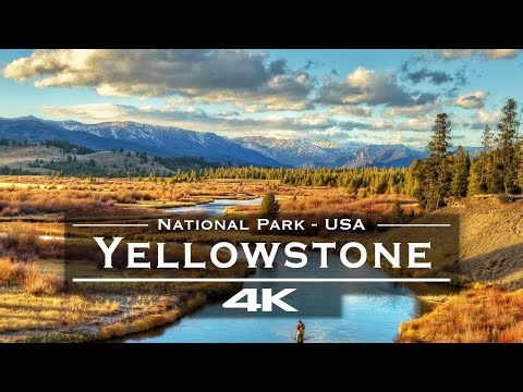 Yellowstone National Park from Above 🇺🇸 | Stunning 4K Drone Footage of Nature & Wildlife