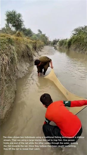 Traditional Fishing Technique: Catching Fish with a Blanket Net