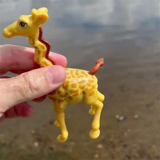 Giraffe Fact 🦒 | Meet the World's Tallest Mammal! Zoo Animals