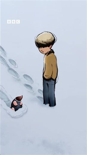 Cake: works every time