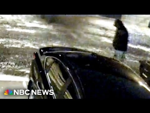 Authorities release video of person of interest in murder of Ohio dentist and his wife