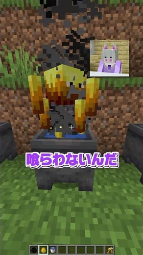 Various mysteries of Minecraft... [Minecraft] #shorts