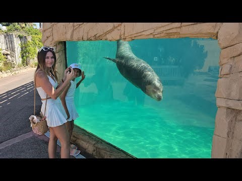 Top Most Beautiful Places In the World | From France & Switzerland to Thailand & Beyond! day5