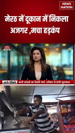 Meerut Python News: मेरठ में दूकान में निकला अजगर ,मचा हड़कंप | #breakingnews