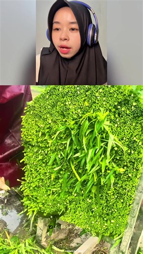 How to Make Kimchi: A Satisfying Tutorial