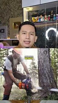 Indonesia Has Anti-Illegal Logging Tools, Effectively Protecting 700,000 Hectares of Forest