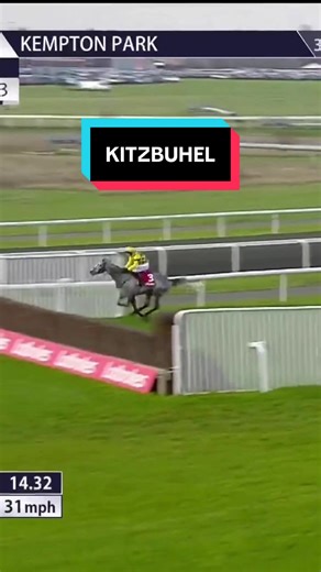 KITZBUHEL's Magnificent Jumping Performance in Horseracing