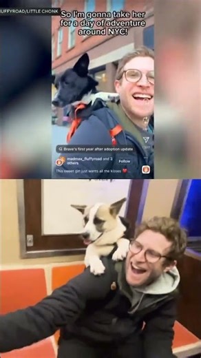 Shelter dogs go on subway adventures to help them find homes