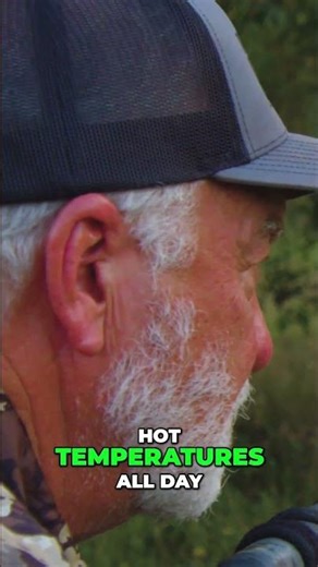 Hunting Stags in Hot Weather: Rifle Aim and Distance Calculation #shorts