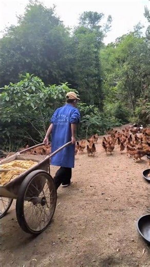 Feeding an Army: Preparing a Mountain of Food for a Remote Chicken Farm 👀