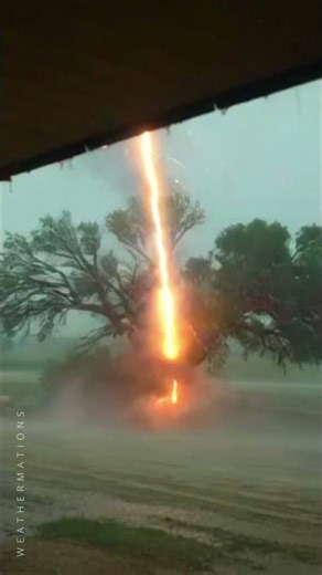 Lightning Strikes the Tree and It EXPLODES⚡🌲 #lightningstrike #caughtoncamera #treestrike