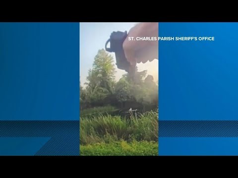 Video shows fleeing DWI suspect attacked by alligator