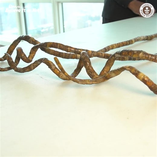 After growing his amazing nails for 66 years, Shridhar finally got them cut - and had an extraordinary story to tell. With Ripley's Believe It or Not! | Guinness World Records