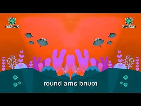 Shark Bus Round and Round and Baby Shark Scene Effects | Preview 2 V17 Effects