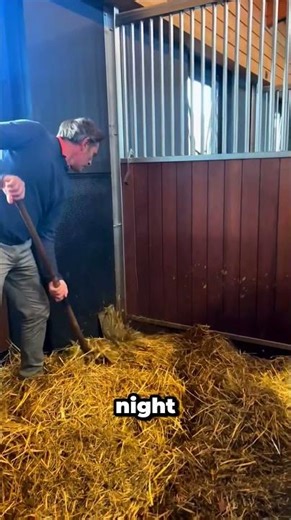 Horse Stall Cleaning That Actually Works #farming #genius