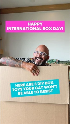 Before you break down that cardboard box, watch this. 🐱