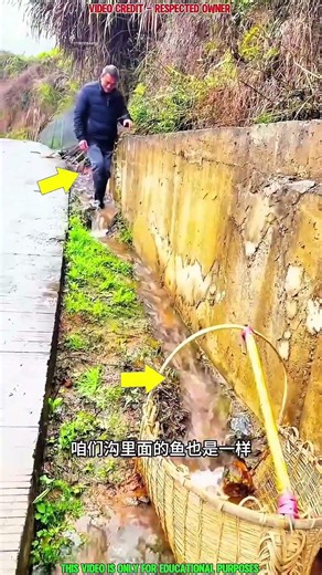 Farmer's Simple Fish Trap Caught So Many Fish! 🐟😲