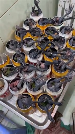 Black Chicken Cooked In Beer Can | Vietnam Street Food | Namaste India