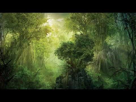 🌌EverQuest: The Chronicles Of Kelethinak! Episode 5.🌌