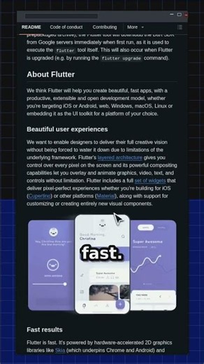 flutter/flutter