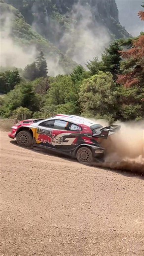 Raw Rally 💨
