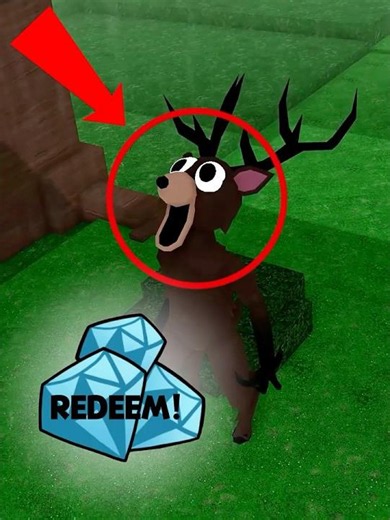 New Update and SECRET Diamond Codes in 99 Nights in the Forest! 💎 #roblox #99nights