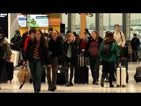 El mal tiempo obliga a varias aerolíneas a cancelar vuelos de forma preventiva | Noticias Telemundo