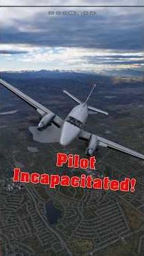 Airplane Lands Itself After Pilot Incapacitated