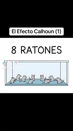 Experimento sobre el funcionamiento de las sociedades , recuerda el discurso del agente a Morfeo , sobre la Matrix, en la película Matrix