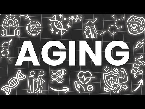 AGING explained in 8 Minutes