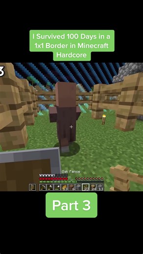 Surviving 100 Days in a 1x1 Border | Hardcore Minecraft Journey