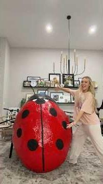My last big craft at the old house 🥹🏠🐞 #craft #diy making a 6ft ladybug out of old boxes