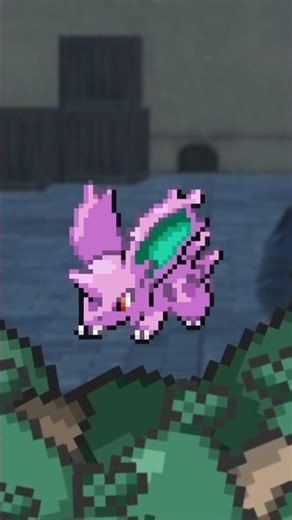 This is a Super Weird Pokemon Fact #pokemon #pokemonfacts #nintendo