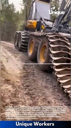 Logging machine: tire chains in action