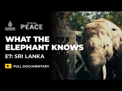 Elephants and Humans: Sri Lanka’s Deadly Coexistence | Making Peace Ep 7 | Featured Documentary
