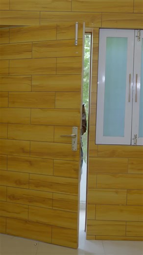 Exploring British Royal Family: Prince Harry and Meghan Markle