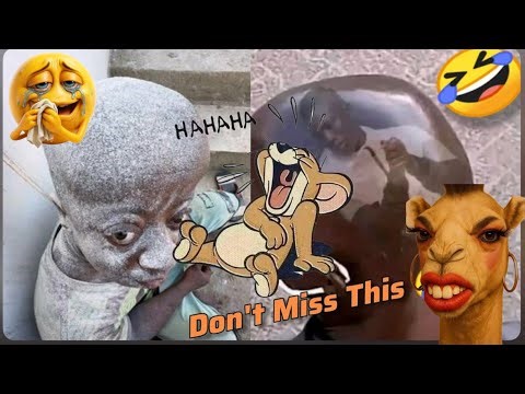 Top Funniest and Craziest Videos On The Internet In 2026 || Try Not To Laugh (Impossible)