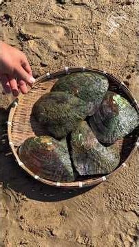 Traditional Herbal Tooth Powder Craft | Pearl-Inspired Texture & Ancient Cultural Wisdom