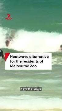 Melbourne Zoo have found an enriching and cooling alternative for their residents