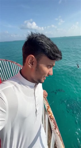 Explore Lighthouse Fishing Techniques and Tips