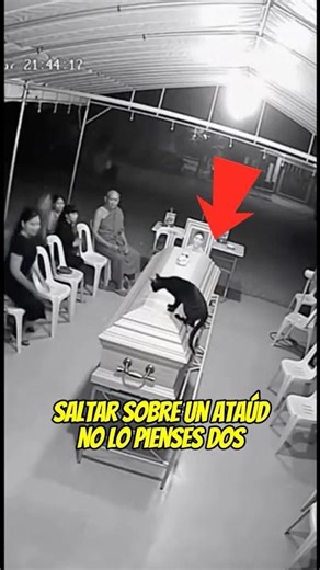Un gato negro saltó sobre este ataúd… Lo que pasó después no era real 😱