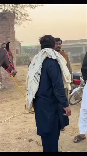 Waqar Bhinder Vlogs: Exploring UK and USA