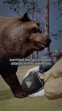 Two Grizzly Attacks in One Day: The Todd Orr Tragedy #Bear #Grizzly #Animals #Shorts