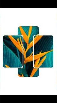 Master Canva Masking in Seconds!