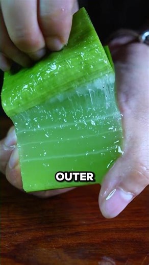 Turning Aloe Vera into Natural Jelly 😲