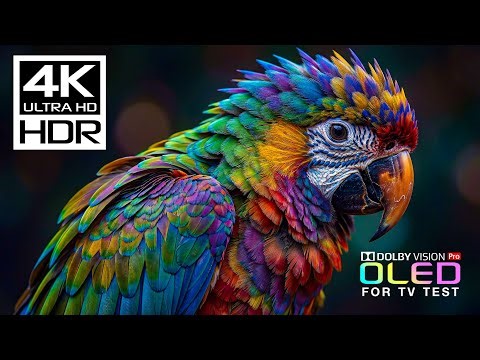 Masterpiece OLED TEST DEMO | 4K HDR 60FPS | Dolby Vision (8K/4K Video TV)