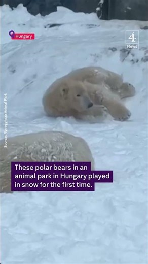 Winter weather prompts safety warnings across Europe