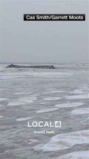 Powerful winds cause Lake Erie to flee Ohio, Michigan